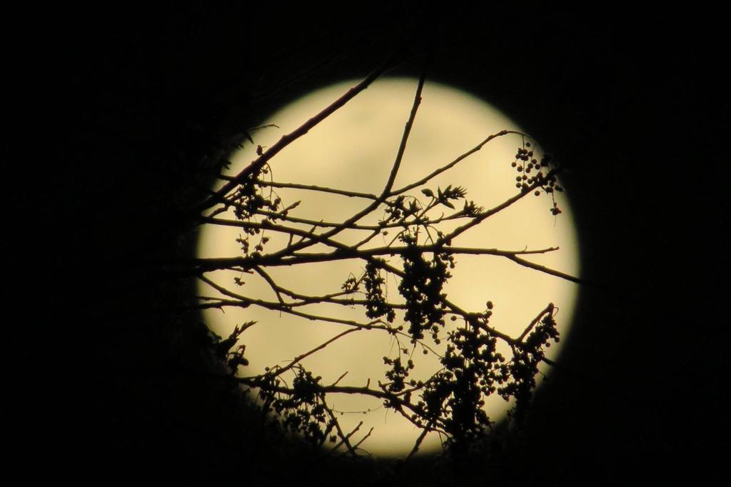 Pousada Luna Zen Pirenópolis Esterno foto